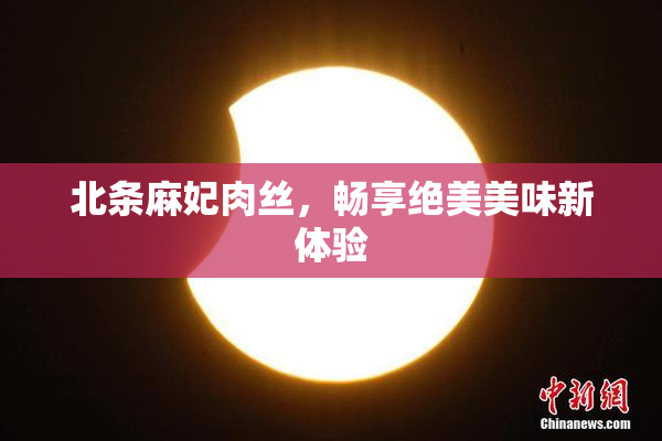 北条麻妃肉丝，畅享绝美美味新体验