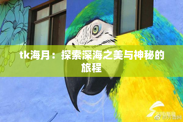 tk海月：探索深海之美与神秘的旅程