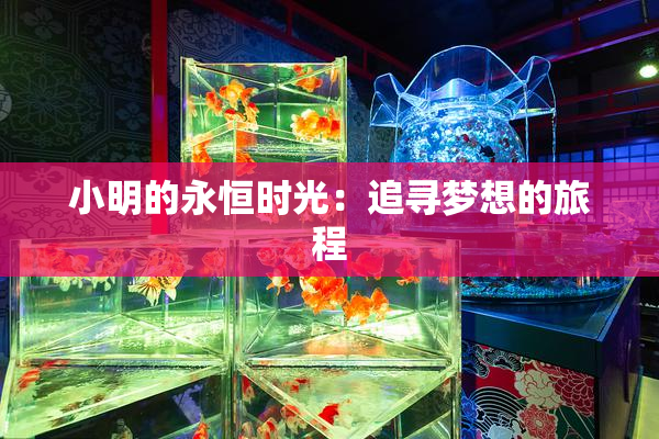 小明的永恒时光：追寻梦想的旅程