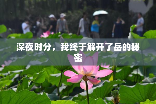 深夜时分，我终于解开了岳的秘密