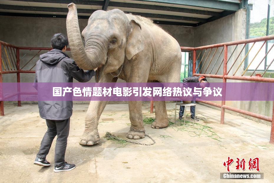 国产色情题材电影引发网络热议与争议