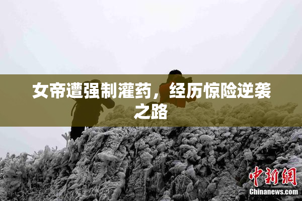 女帝遭强制灌药，经历惊险逆袭之路