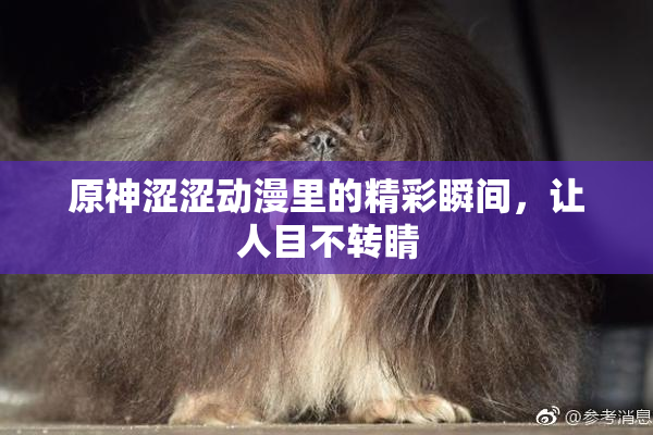 原神涩涩动漫里的精彩瞬间，让人目不转睛