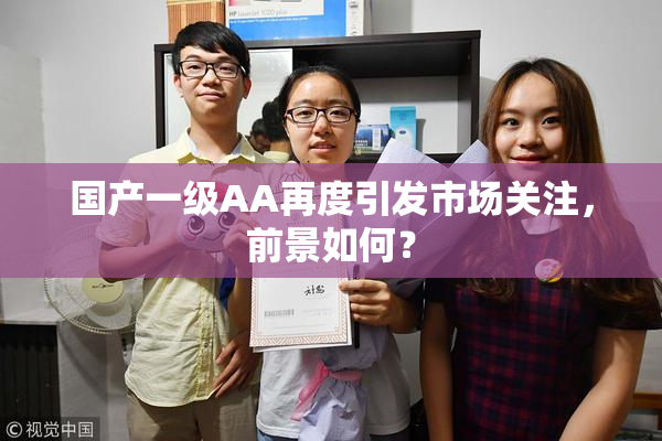 国产一级AA再度引发市场关注，前景如何？