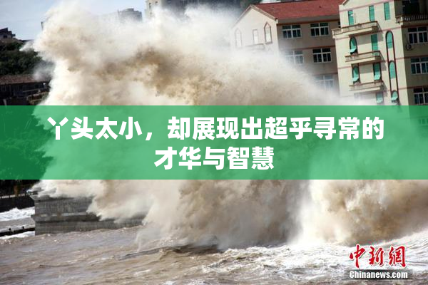 丫头太小，却展现出超乎寻常的才华与智慧