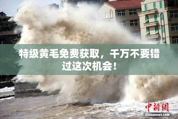 特级黄毛免费获取，千万不要错过这次机会！