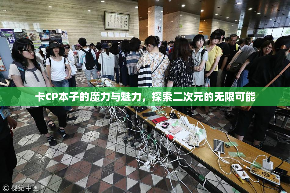 卡CP本子的魔力与魅力，探索二次元的无限可能