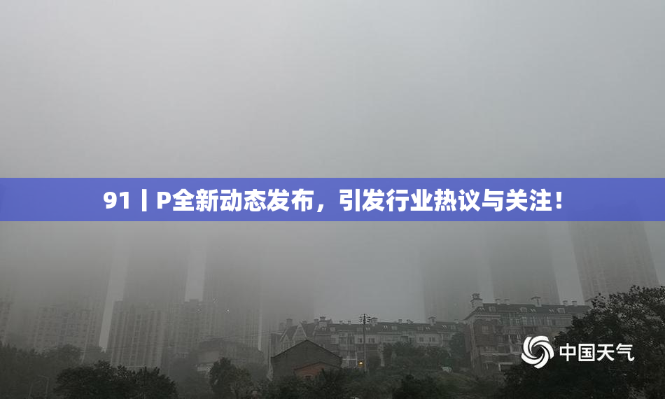91丨P全新动态发布，引发行业热议与关注！