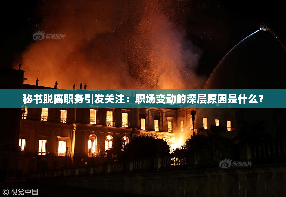 秘书脱离职务引发关注：职场变动的深层原因是什么？