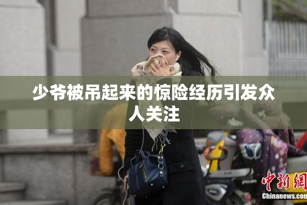 少爷被吊起来的惊险经历引发众人关注