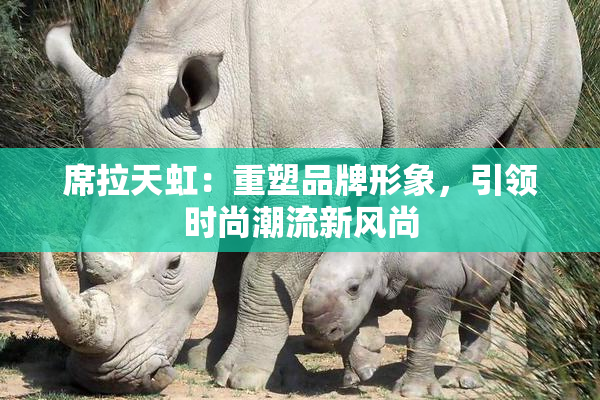 席拉天虹：重塑品牌形象，引领时尚潮流新风尚