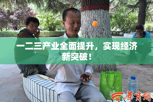 一二三产业全面提升，实现经济新突破！