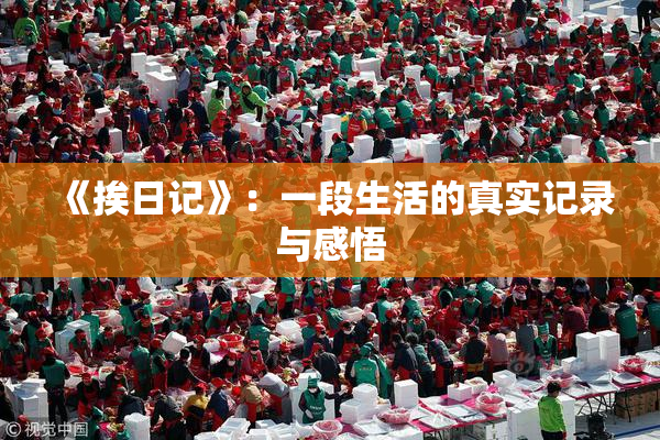 《挨日记》：一段生活的真实记录与感悟