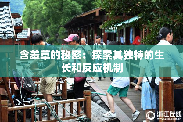 含羞草的秘密：探索其独特的生长和反应机制