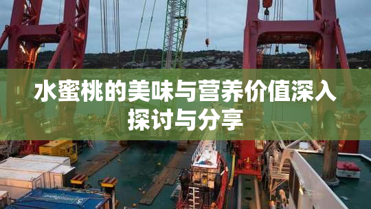水蜜桃的美味与营养价值深入探讨与分享