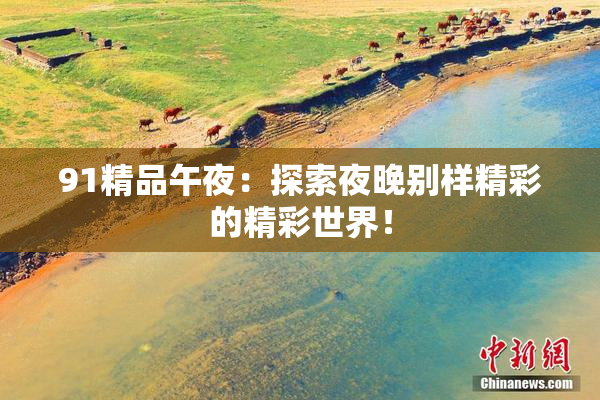 91精品午夜：探索夜晚别样精彩的精彩世界！