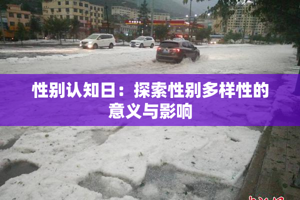 性别认知日：探索性别多样性的意义与影响