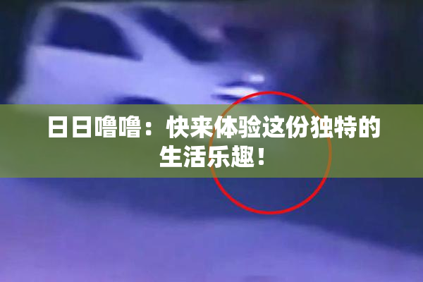 日日噜噜：快来体验这份独特的生活乐趣！