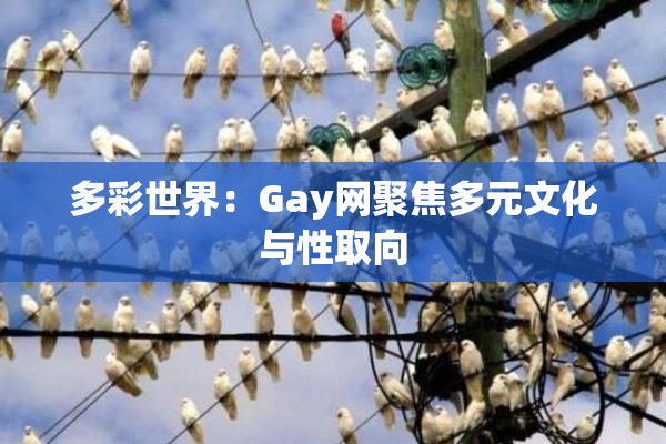多彩世界：Gay网聚焦多元文化与性取向
