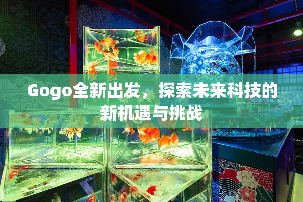 Gogo全新出发，探索未来科技的新机遇与挑战