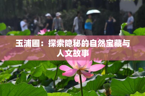 玉浦圃：探索隐秘的自然宝藏与人文故事