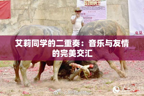 艾莉同学的二重奏：音乐与友情的完美交汇