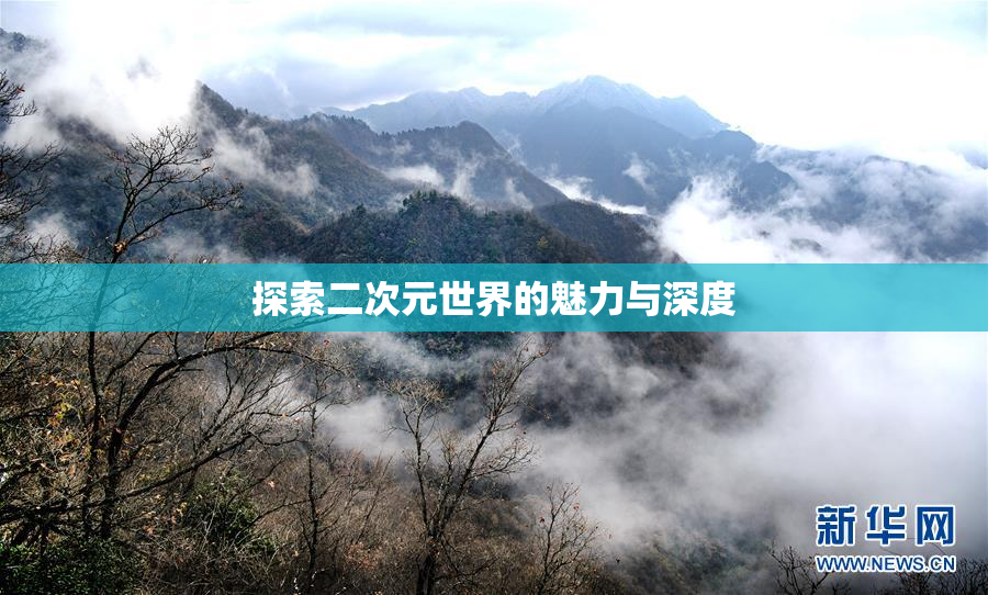 探索二次元世界的魅力与深度