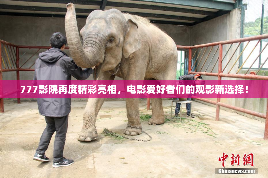 777影院再度精彩亮相，电影爱好者们的观影新选择！