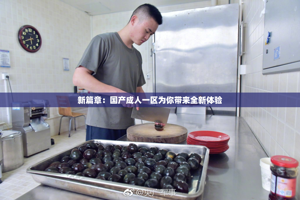 新篇章：国产成人一区为你带来全新体验