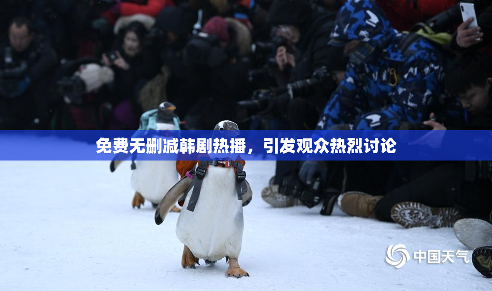 免费无删减韩剧热播，引发观众热烈讨论