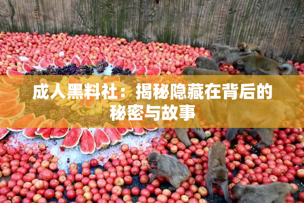 成人黑料社：揭秘隐藏在背后的秘密与故事