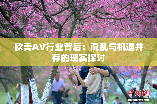 欧美AV行业背后：混乱与机遇并存的现实探讨