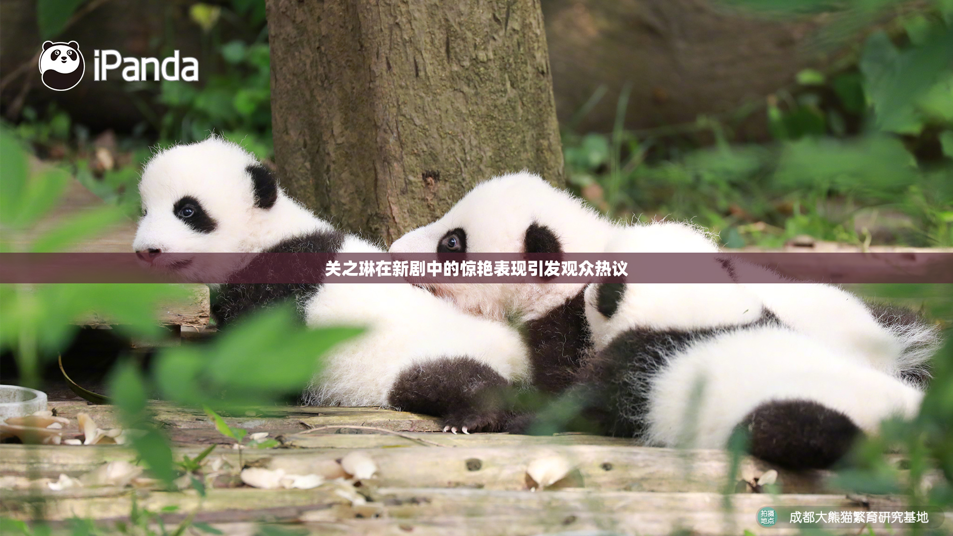 关之琳在新剧中的惊艳表现引发观众热议