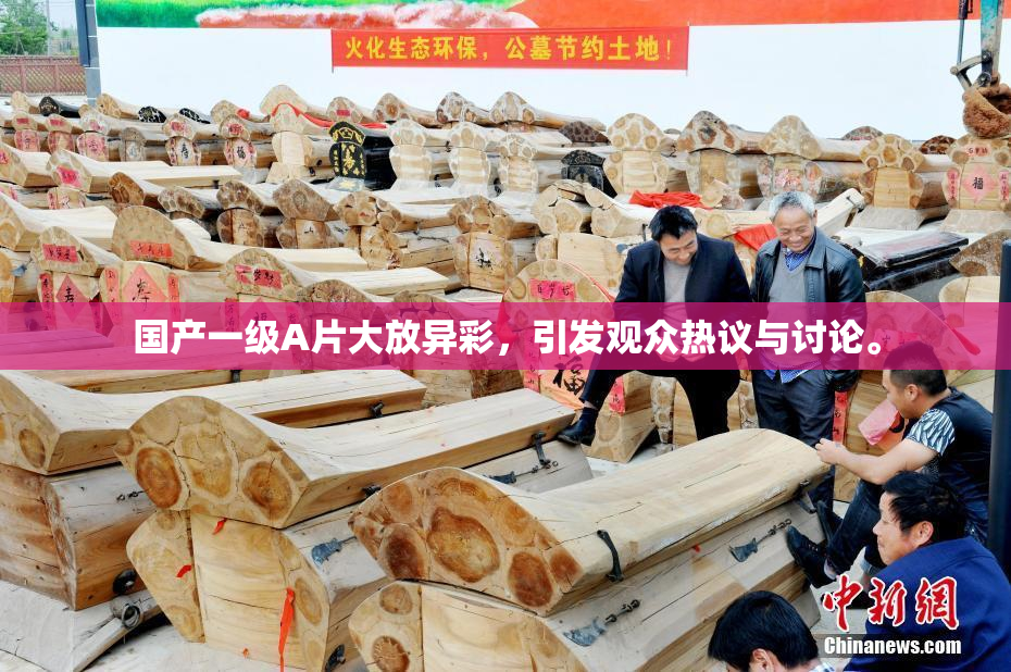 国产一级A片大放异彩，引发观众热议与讨论。