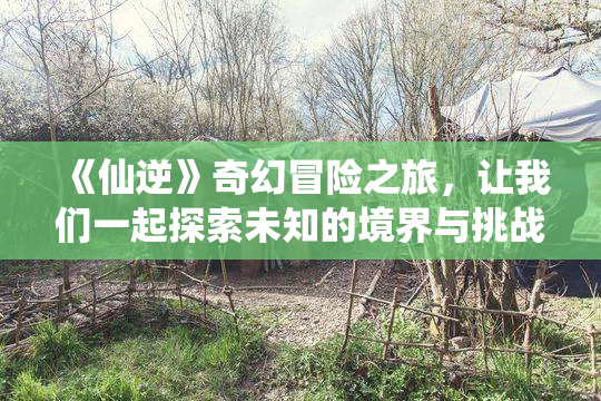 《仙逆》奇幻冒险之旅，让我们一起探索未知的境界与挑战