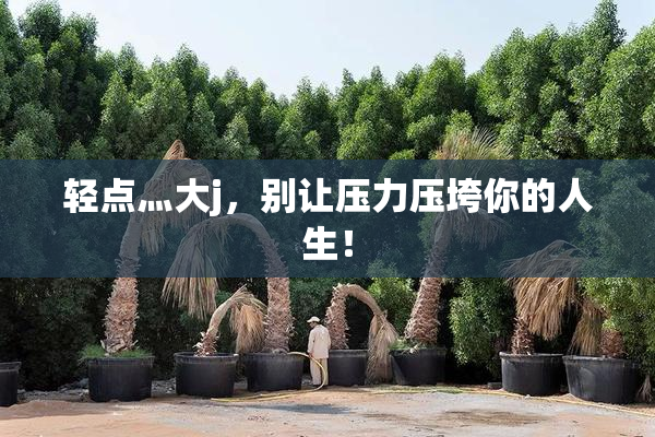 轻点灬大j，别让压力压垮你的人生！