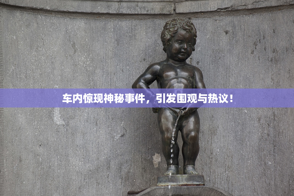 车内惊现神秘事件，引发围观与热议！