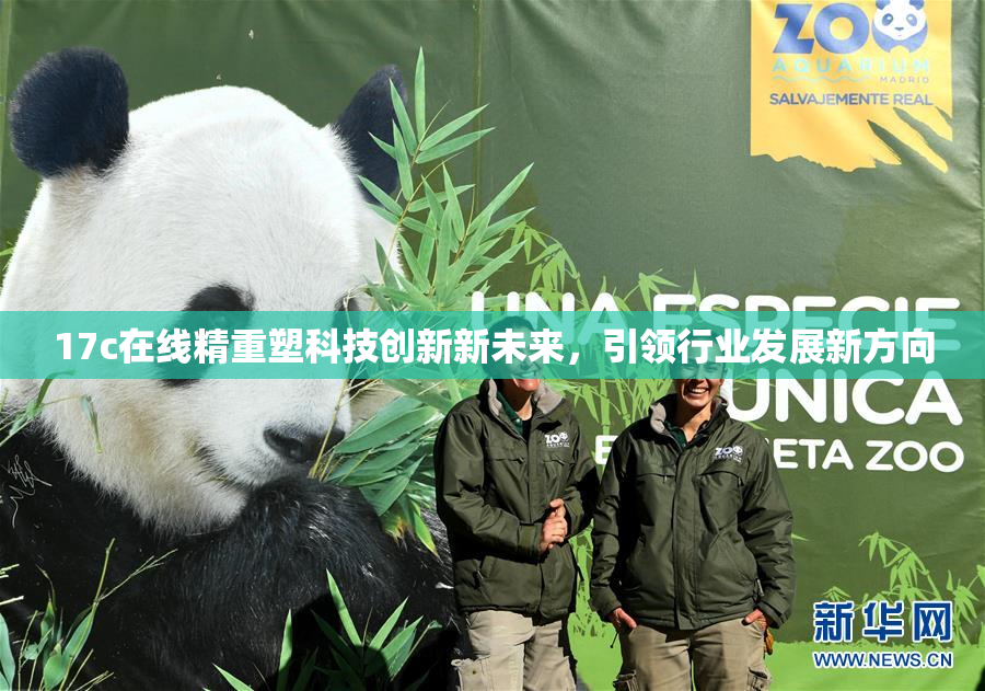 17c在线精重塑科技创新新未来，引领行业发展新方向