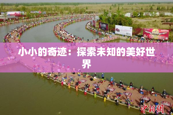 小小的奇迹：探索未知的美好世界