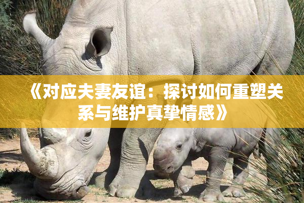 《对应夫妻友谊：探讨如何重塑关系与维护真挚情感》