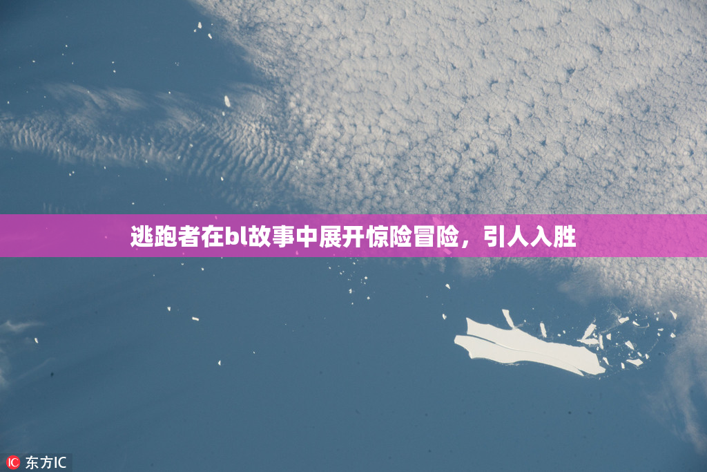 逃跑者在bl故事中展开惊险冒险，引人入胜
