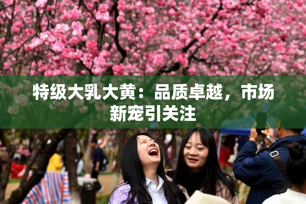 特级大乳大黄：品质卓越，市场新宠引关注