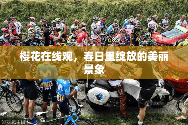 樱花在线观，春日里绽放的美丽景象