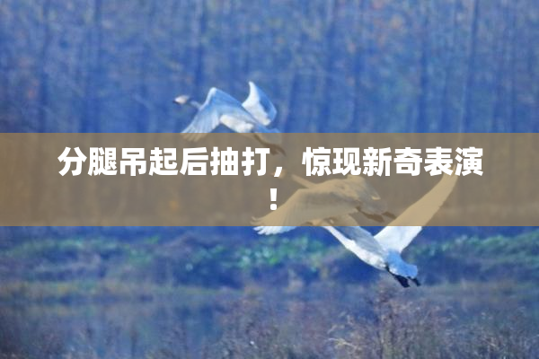 分腿吊起后抽打，惊现新奇表演！