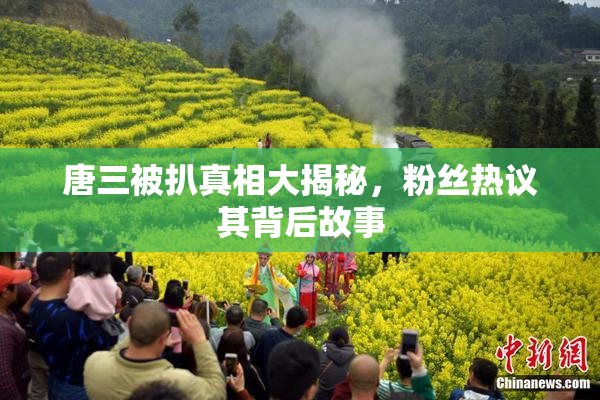 唐三被扒真相大揭秘，粉丝热议其背后故事