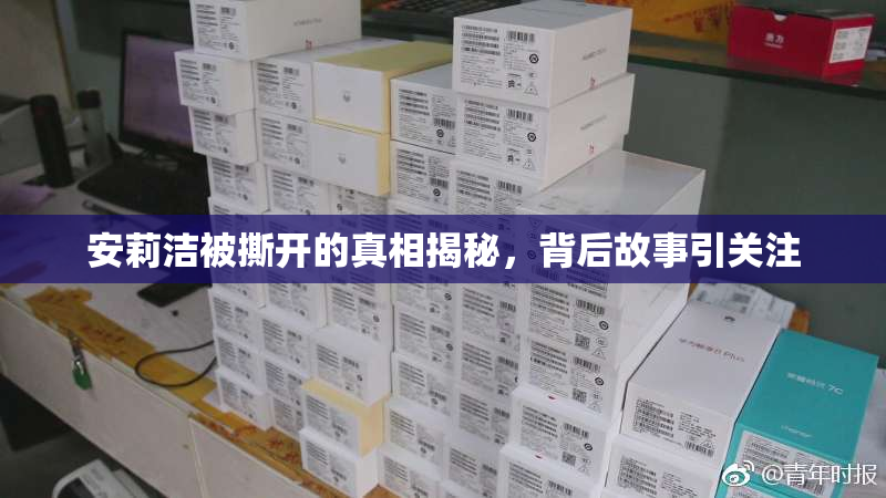 安莉洁被撕开的真相揭秘，背后故事引关注