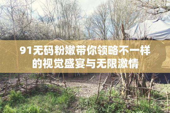 91无码粉嫩带你领略不一样的视觉盛宴与无限激情