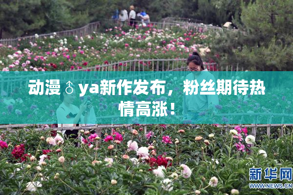 动漫♂ya新作发布，粉丝期待热情高涨！