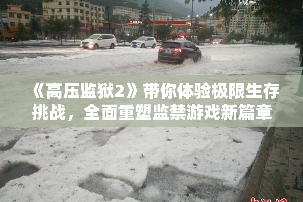 《高压监狱2》带你体验极限生存挑战，全面重塑监禁游戏新篇章！