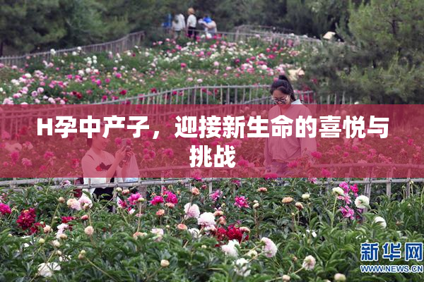 H孕中产子，迎接新生命的喜悦与挑战